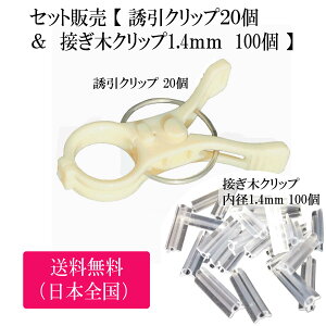 Zbg̔y UNbv 20  & ڂ؃Nbv a1.4mm 100 z |Nbv K[fjO U  ƒ؉ g}giX U