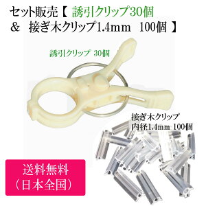 Zbg̔ y UNbv 30  & ڂ؃Nbv a1.4mm 100 z |Nbv K[fjO U  ƒ؉ g}giX U