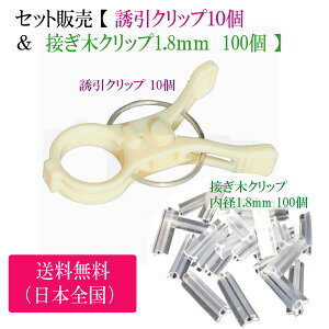 Zbg̔ y UNbv 10  & ڂ؃Nbv a1.8mm 100 z |Nbv K[fjO U  ƒ؉ g}giX U
