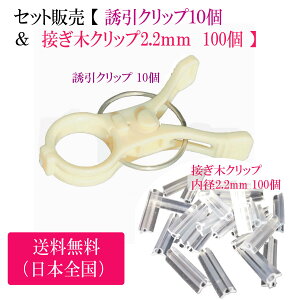 Zbg̔ y UNbv 10  & ڂ؃Nbv a2.2mm 100 z |Nbv K[fjO U  ƒ؉ g}giX U