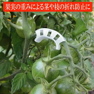 sT|[gNbvy 100 /RIRAI z |Nbv K[fjO U sT|[g ƒ؉ g}g U  K[f pi _  |pi _Ɨpi _Ɨp _Ǝ ֗ Ob