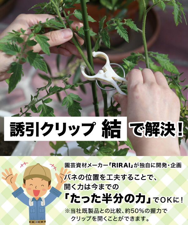 誘引クリップ 茎に優しい R型（サイズ：20㎜）1箱/2,000個入 【公式通販】