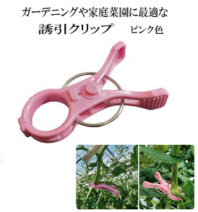 UNbvsN 20y  / RIRAI z|Nbv K[fjO U  ƒ؉ g}g iXU  K[fpi _  |pi _Ɨpi_Ɨp _Ǝ 