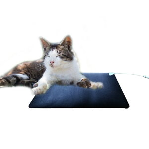 Earthiness Pet Mat A[VO}bg (EPPU[^Cv) 34cm×25cm