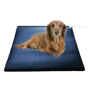Earthiness Pet Mat A[VO}bg (EPPU[^Cv) 50cm×50cm