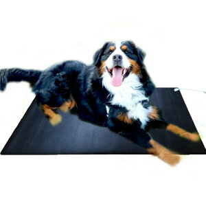 Earthiness Pet Mat A[VO}bg (EPPU[^Cv) 100cm×50cm ybgp