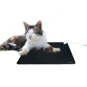 Earthiness Pet Mat A[VO}bg (o[^Cv) 34cm×25cm ybgp