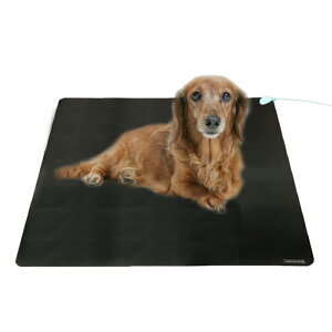 Earthiness Pet Mat A[VO}bg (o[^Cv) 50cmx50cm