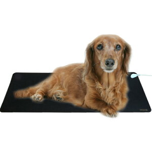 Earthiness Pet Mat A[VO}bg (o[^Cv) 68cm×25cm ybgp