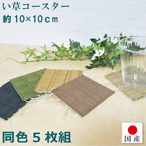 yYzR[X^[ n Iׂ6F10×10cmiF5gj{  VRf o[Vu a v[g Vv _ i`CeA