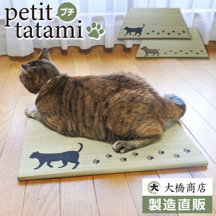 楽天市場】【国産】い草 プチたたみ タンゴ/ワルツ 約30×45cm 日本製 
