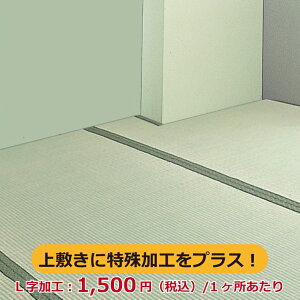 4`vGg[P5{100~N[|yLHz ~ H ؂茇Ha  ̏ɕ~  C   ~ O J[ybg VRf {
