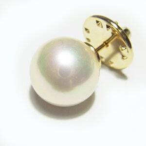 嗱Lp[ ^bNs { ^  p[eB[  tH[} 畞 ʎ @ Ǝ w ̓ Mtg v[g