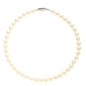 YLp[@zCg8mmʁ@x[VbN@lbNX { ^  p[eB[  tH[} 畞 ʎ @ Ǝ w ̓ Mtg v[g