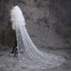 [zCg x[ Oix[ R[t Ox[ F[ [X 2.5[g 3[g uC_CEFfBO [Xx[ i 񎟉 RpNg[  t ł