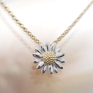 t[ lbNX SV925 Vo[925  fCW[ fBX p CG[S[h