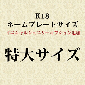 CjVv[gTCYIvVyTCYz K18 ǉ