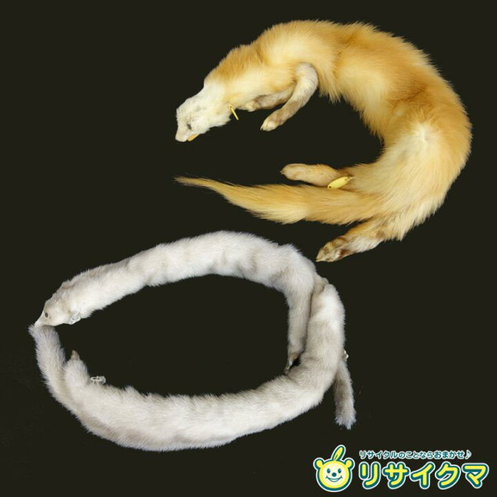 楽天市場】【中古】M▽リアルファー テン? 襟巻き 毛皮 マフラー 