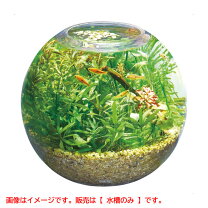楽天市場】アウトレット 家具（水槽・アクアリウム｜熱帯魚 