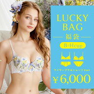 リサマリ 2026年 Lucky Bag ワイヤーブラジャー+ショーツ 2セット(B-Hカップ) Risa Magli Risamagli レデ…