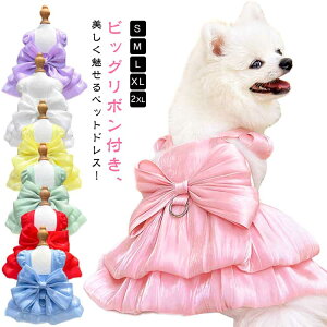 n[lX Lp   j̎q  ^ hX  s[X t  EFAn[lX t 킢 qh~ ̎q   킢   { S n[lX L XL 2XL CX^