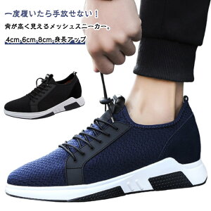 Y Xj[J[ V[NbgXj[J[ bV ₷ gAbv JWAC X|[c ʋ ʊw Cq[Xj[J[ ^C wȂ bV g[jO 4cm/6cm/8cm