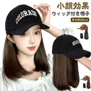 EBbOtXq Lbv XqEBbO XqtEBbO EBbO fB[X  tXq Xq̌^ EBbOtLbv Xq  ȒP R ֗   ~f