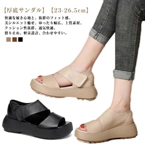 T_ fB[X T_ X|[cT_  ₷ y X|T Ȃ V[Y 5cmq[ ~ r K L  s t  ɂ Vv JW