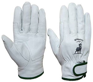 [Everest] HK-340 Rr M NXg }WbN ĕt Rrv