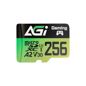 AGI 256GB MicroSD  J[h A2 U3 V30 4K C10(ǂݍ݁Eݑx170/160MBs) TF138 }CNsdJ[h