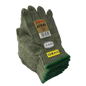 [nV] R p Y Yp hFiCR v CAɋ 12o  J[L { fB[X 48310