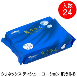 NVA NlbNX eBV[ [V  ێeBV[ ×24 eBbVy[p[ P[X