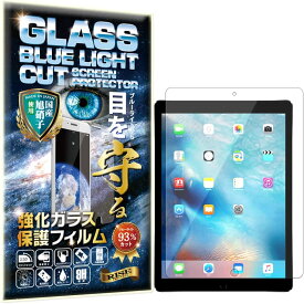 ブルーライトカット iPad Pro 12.9 (第 2 世代) 2017年 / iPad Pro 12.9 (第 1 世代) 2015年 硬度10H W硬化製法 強化ガラス 液晶 画面 保護 保護フィルム 液晶保護フィルム 飛散防止 指紋防止 AGC日本製 RISE PRODUCTS