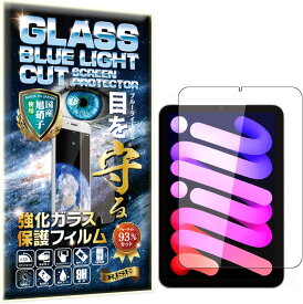 2枚セット ブルーライトカット iPad mini (第 6世代) 2021 iPad mini6 硬度10H W硬化製法 強化ガラス 液晶 画面 保護 保護フィルム 液晶保護フィルム 飛散防止 指紋防止 AGC日本製 RISE PRODUCTS