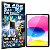 ブルーライトカット iPad 第11世代 (A16) 2025 / iPad 第10世代 2022 ガラスフィルム フィルム 10.9イン…