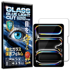 2枚セット ブルーライトカット iPad Pro 11 M4 (2024) 11インチ フィルム ガラスフィルム 硬度10H W硬化製法 強化ガラス 液晶 画面 保護 保護フィルム 液晶保護フィルム 飛散防止 指紋防止 AGC日本製 RISE PRODUCTS