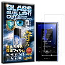 2枚セット ブルーライトカット ウォークマン NW-A300 シリーズ (NW-A306/NW-A307) ガラスフィルム ウォークマン NW-A300 シリーズ (NW-A306/NW-A307) フィルム 対応 硬度10H W硬化製法 強化ガラス 液晶 画面 保護 保護フィルム RISE PRODUCTS