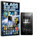 2枚セット ブルーライトカット ウォークマン NW-ZX707 ガラスフィルム ウォークマン NW-ZX707 フィルム ウォークマン NW-ZX707 対応 硬度10H W硬化製法 強化ガラス 液晶 画面 保護 保護フィルム RISE