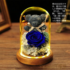 vU[uht[ N}@KXh[ ̓ v[g ͂Ȃ  aMtg o [Y uU[uht[ Mtg TvCY v[g KN LEDCgt ỉ 