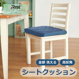 �yRISE�z�X���[�v�I�A�V�X �V�[�g�N�b�V���� 5.0 V02 �S���􂦂� ������ �t�@�C�o�[ ���C�Y���� RISE �N�b�V����