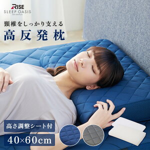 y60%OFFzyRISEzX[vIAVX X^_[hŃBVjOs[ 􂦂 t@Co[ ܂ V[g 