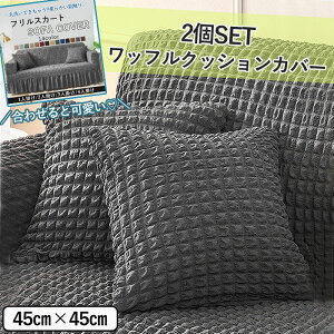 y1245~IzN[|ŁzNbVJo[ 2Zbg 45×45 k  \t@ w Jo[ n   ȃGl @ېOK 2 V [X3] ^bm1207^