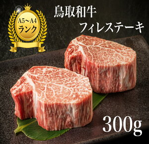 ステーキ 300gの人気商品 通販 価格比較 価格 Com ステーキ 300gの人気商品 通販 価格比較 価格 Com