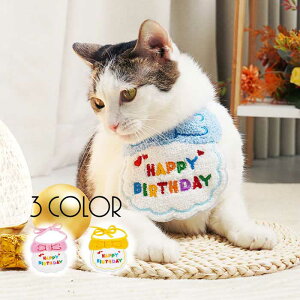 L  ybg 悾ꂩ X^C o[Xf[ a ObY hbO Lbg O| ܂ X^C