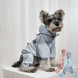  ėp  p[X ^ ybgEFA i   J h ^ ̕ o s U ybgpi 