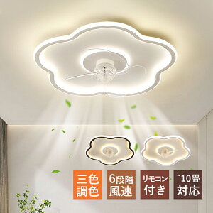 AAAZM V[Ot@Cg  led 5 10 T[L[^[ Eߏ ȈՎt k V[Ot@ dc[^[ t@tƖ ledt@ Rt Vt@ rO Cz