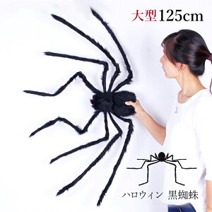 nEB  N p[eB[ t fR[V O ݂艺   ObY S[Xg ΂ y ^ dr lC IuWF ėp  wZ u G  fBXvC 