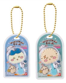 ( 2．ハチワレ 6．ラッコ ) 2個セット ちいかわ ミニチュアチョコチャーム＆チョコスナック