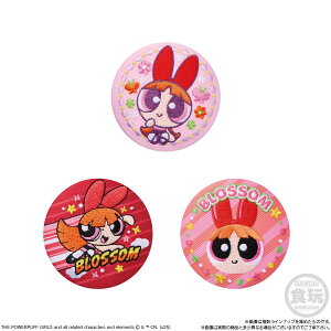 p[pt K[Y hJʃobWrXPbg ubT 3ZbgihJʃobŴݔj Mtg v[g LN^[ ObY