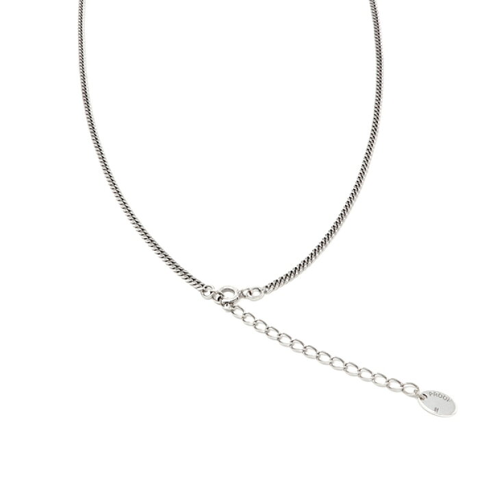 楽天市場】ライオンハート PROOF ミディアムコア ネックレス シルバー  